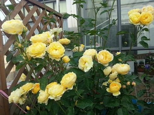 20130505_072912.jpg