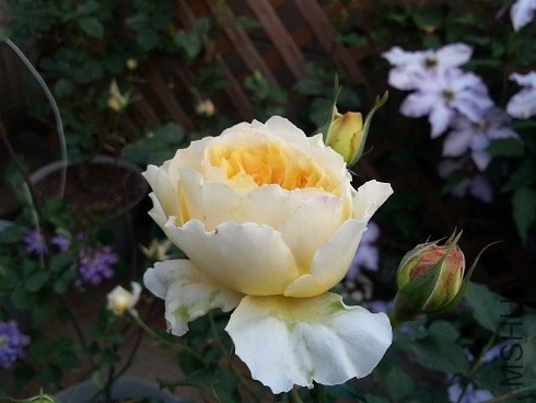 20130427_180452.jpg