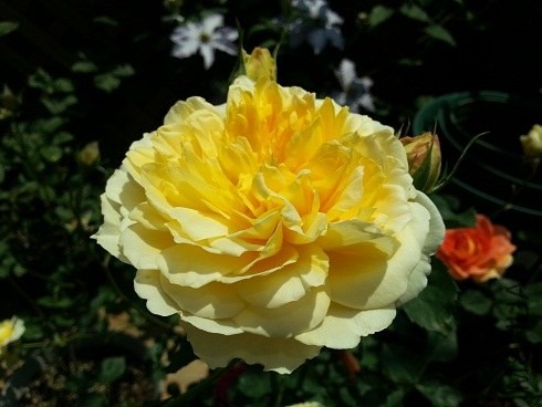 20130428_124055.jpg