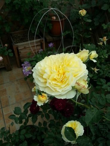 20130429_165909.jpg