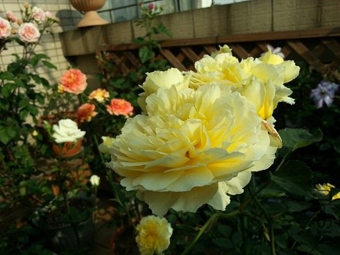 20130430_162258.jpg