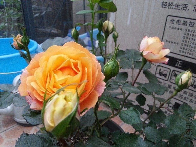 20130419_175532.jpg