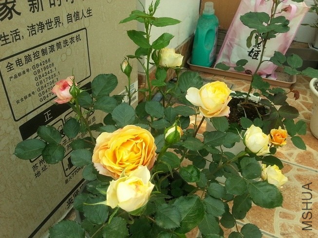 20130425_134519.jpg