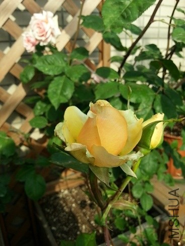 20130430_155757.jpg