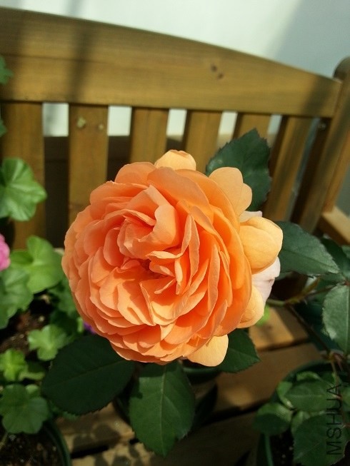 20130501_105531.jpg