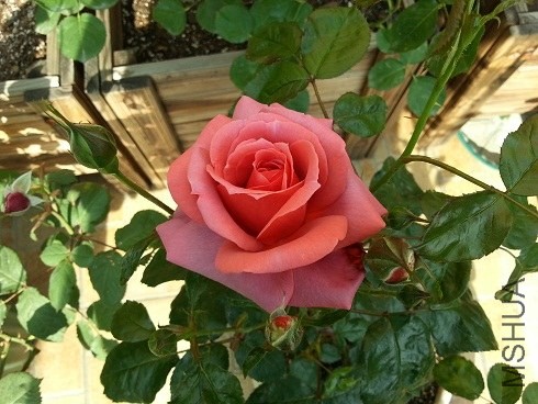20130430_154736.jpg