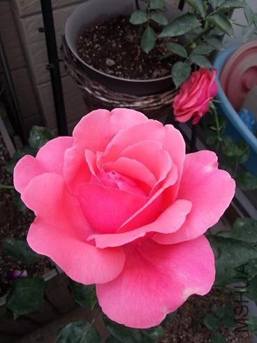 20130429_165656.jpg