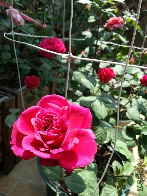 20130501_105148.jpg
