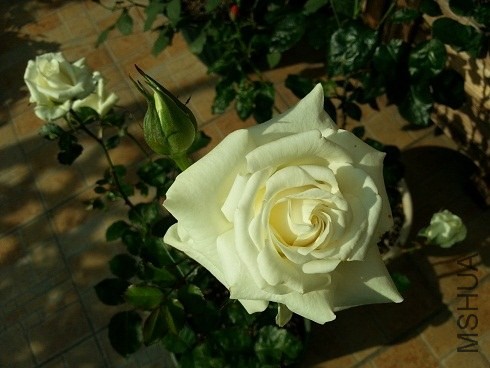 20130430_154749.jpg