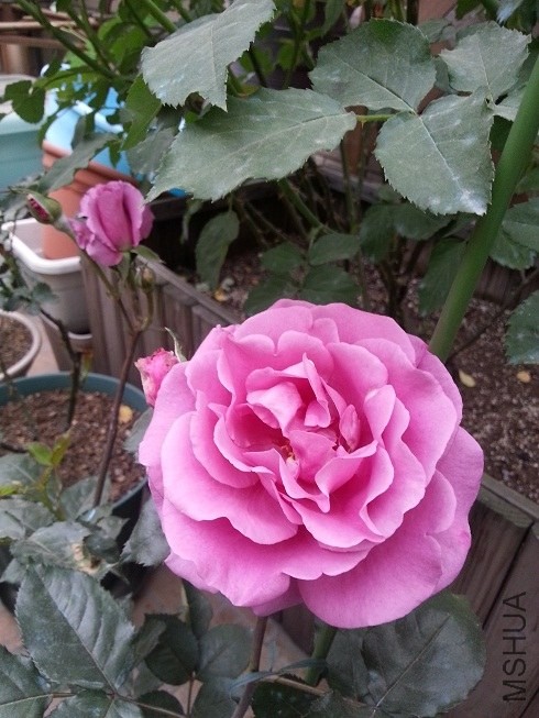 20130419_173858.jpg