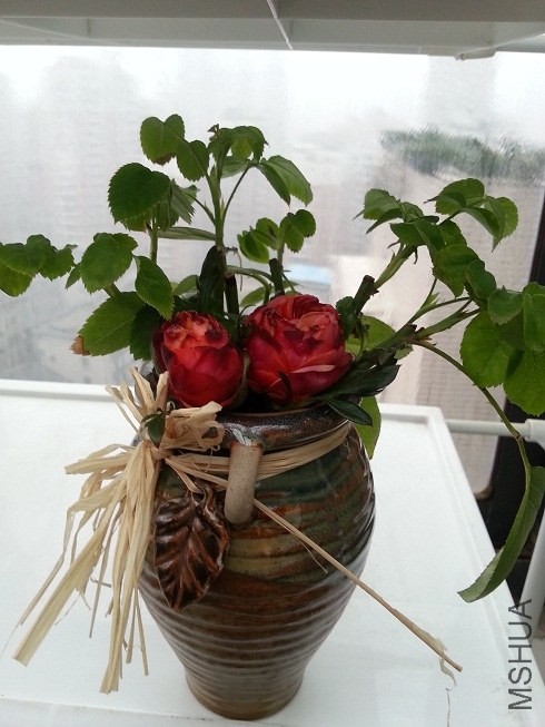 20130405_163225.jpg