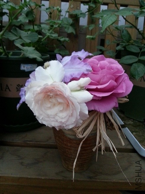 20130419_181113.jpg