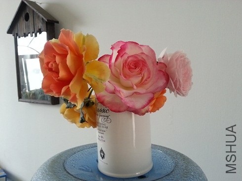 20130427_075202.jpg