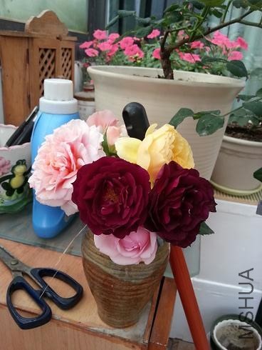 20130429_165500.jpg