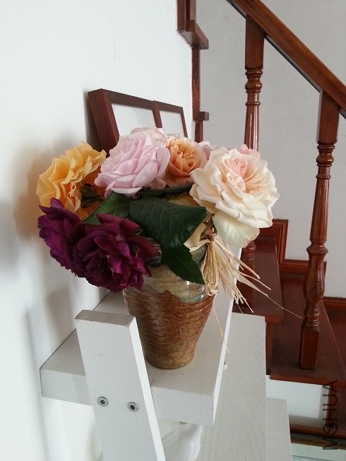 20130501_083129.jpg