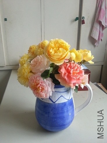 20130502_113242.jpg