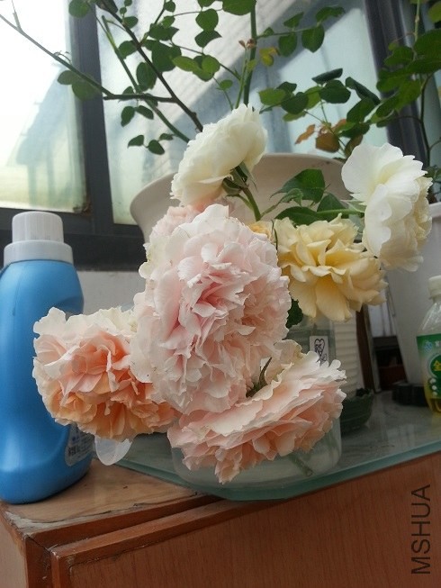20130507_080123.jpg