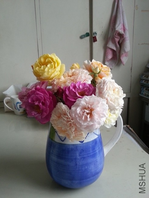 20130507_100731.jpg