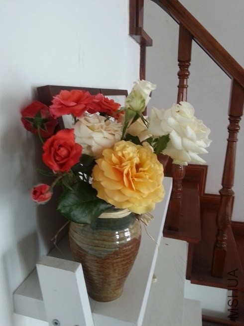 20130512_095447.jpg