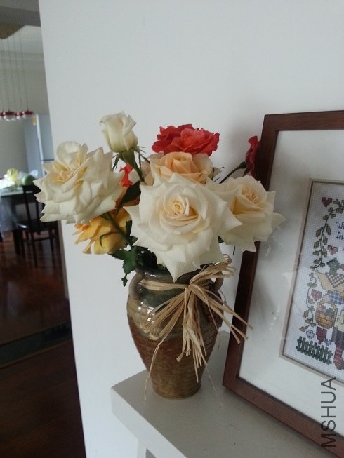 20130512_095513.jpg