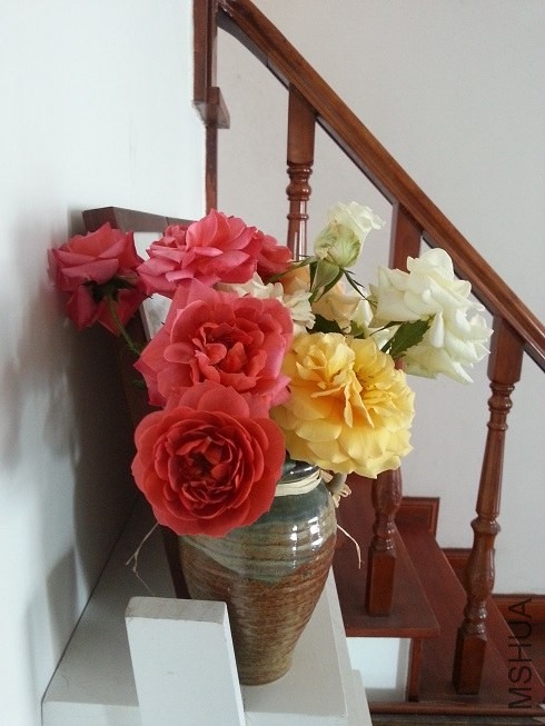 20130513_123916.jpg