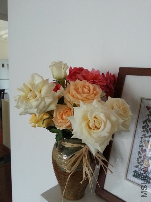 20130513_124656.jpg