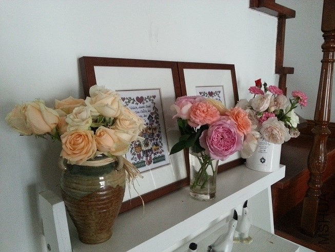 20130516_132012.jpg