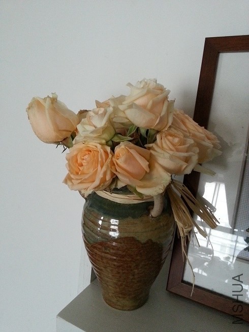 20130516_132037.jpg