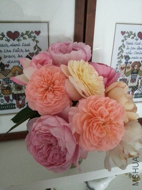 20130516_132053.jpg