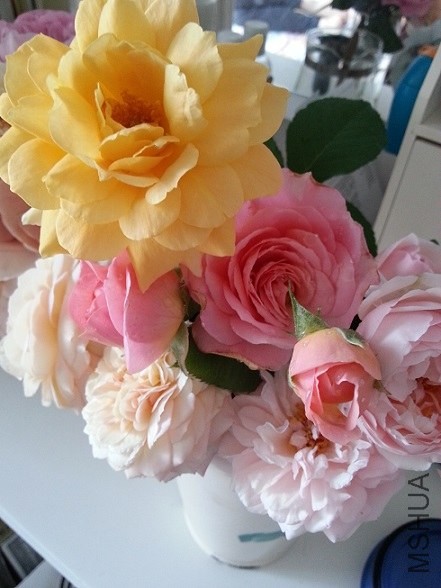 20130517_073421.jpg