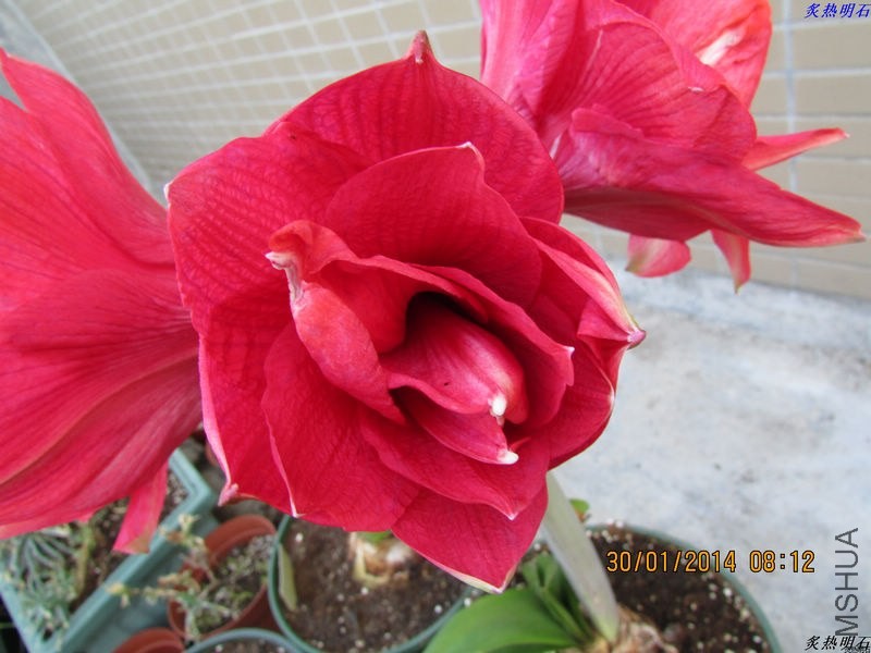 IMG_1114_nEO_IMG.jpg