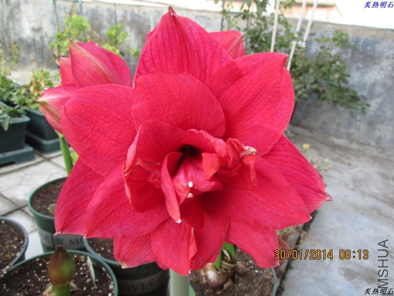 IMG_1115_nEO_IMG.jpg