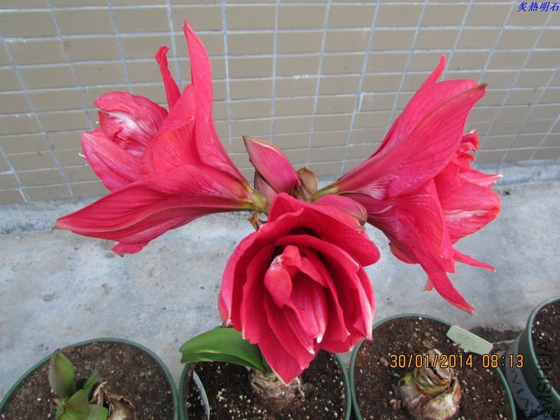 IMG_1118_nEO_IMG.jpg
