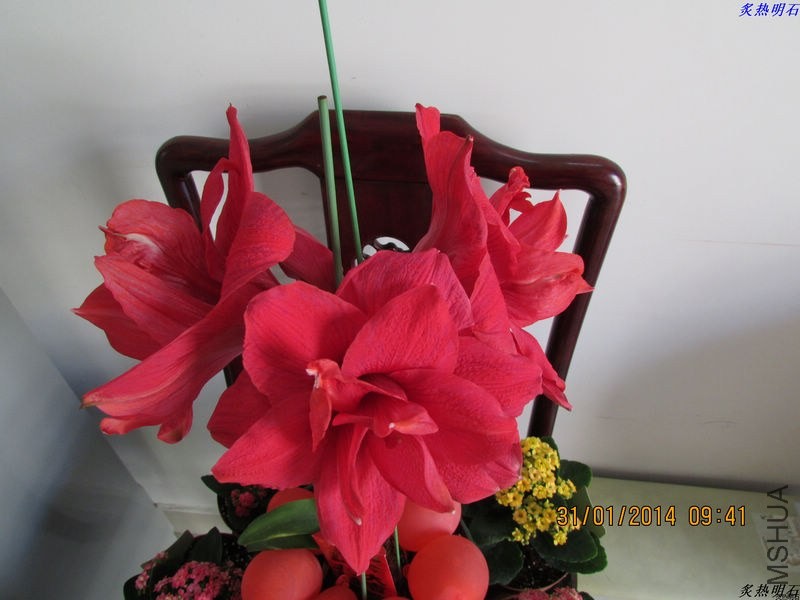 IMG_1205_nEO_IMG.jpg