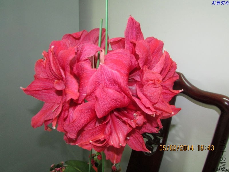 IMG_1965_nEO_IMG.jpg