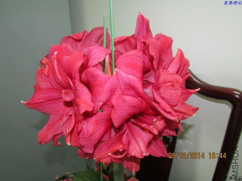 IMG_1968_nEO_IMG.jpg