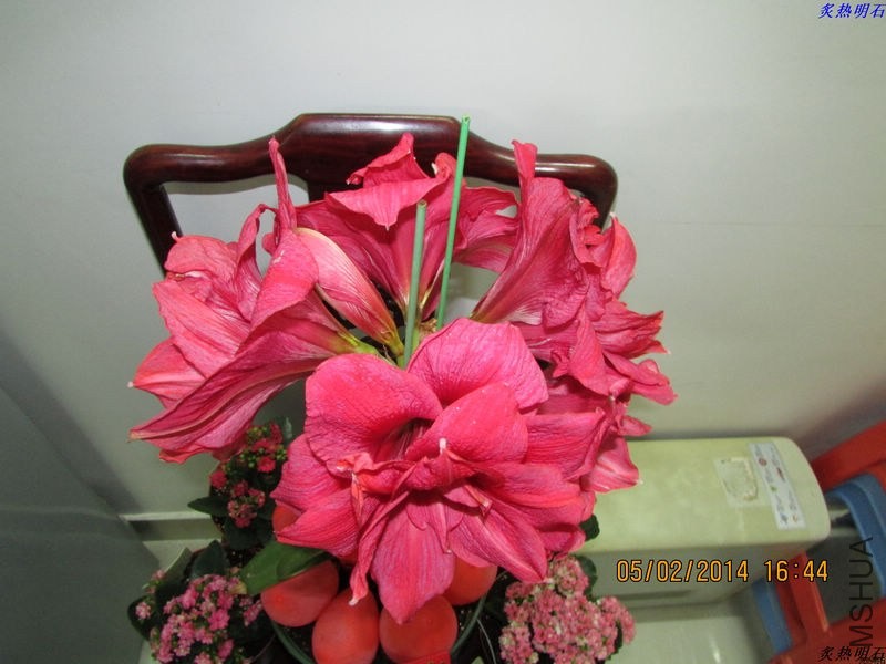 IMG_1969_nEO_IMG.jpg