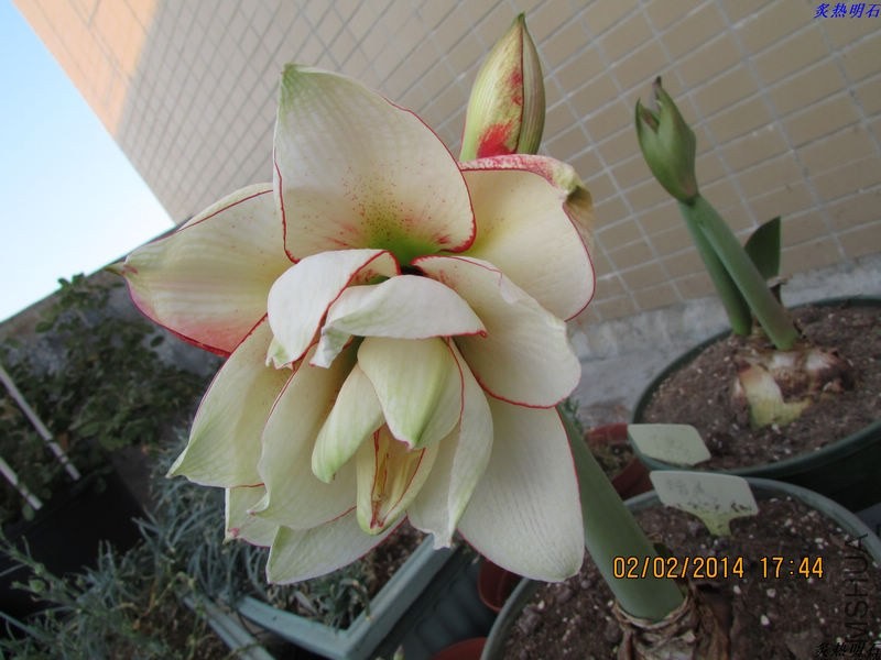IMG_1659_nEO_IMG.jpg