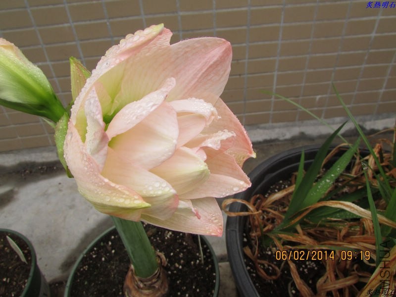 IMG_2057_nEO_IMG.jpg