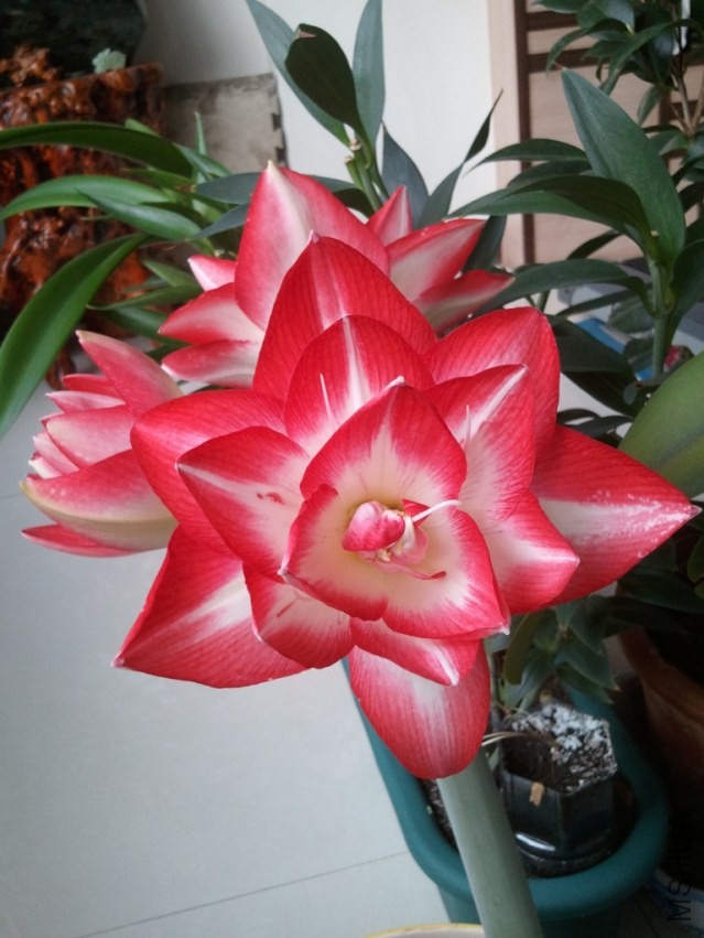 2014-02-07 07.57.42.jpg