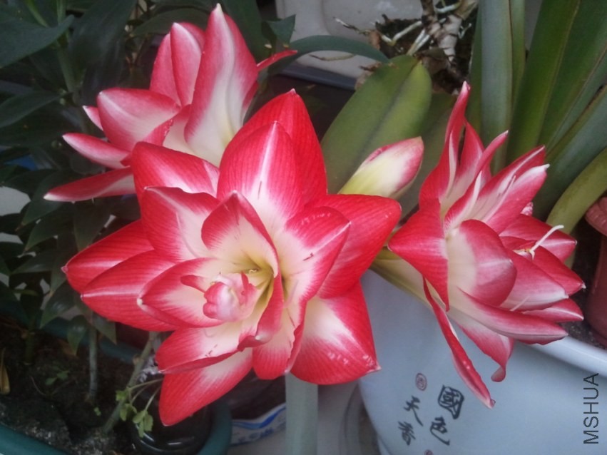 2014-02-08 07.25.02.jpg