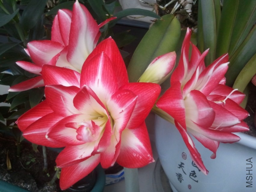 2014-02-08 07.25.25.jpg