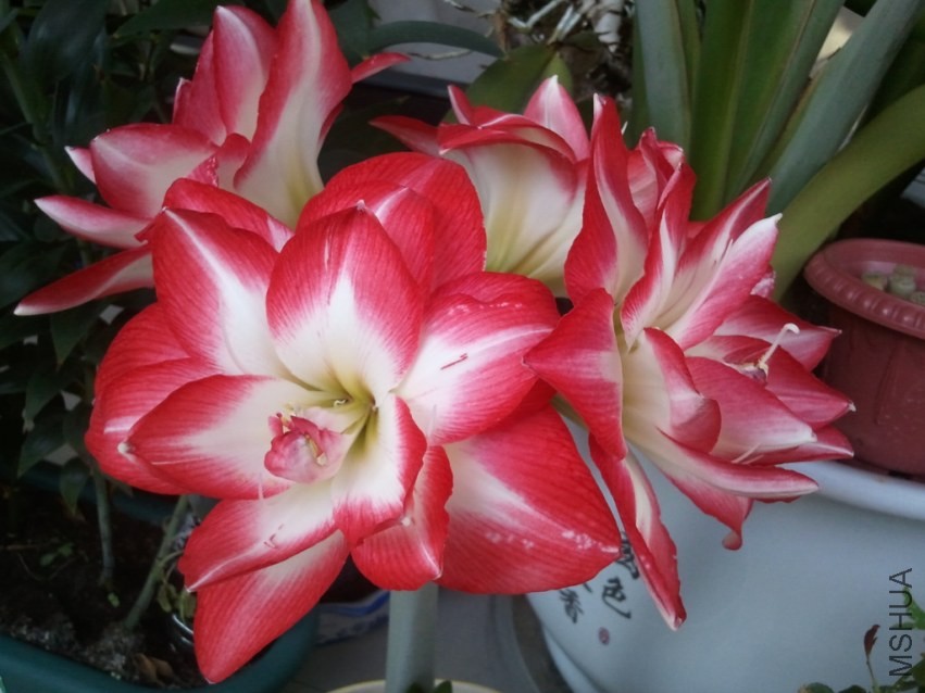 2014-02-09 15.15.34.jpg