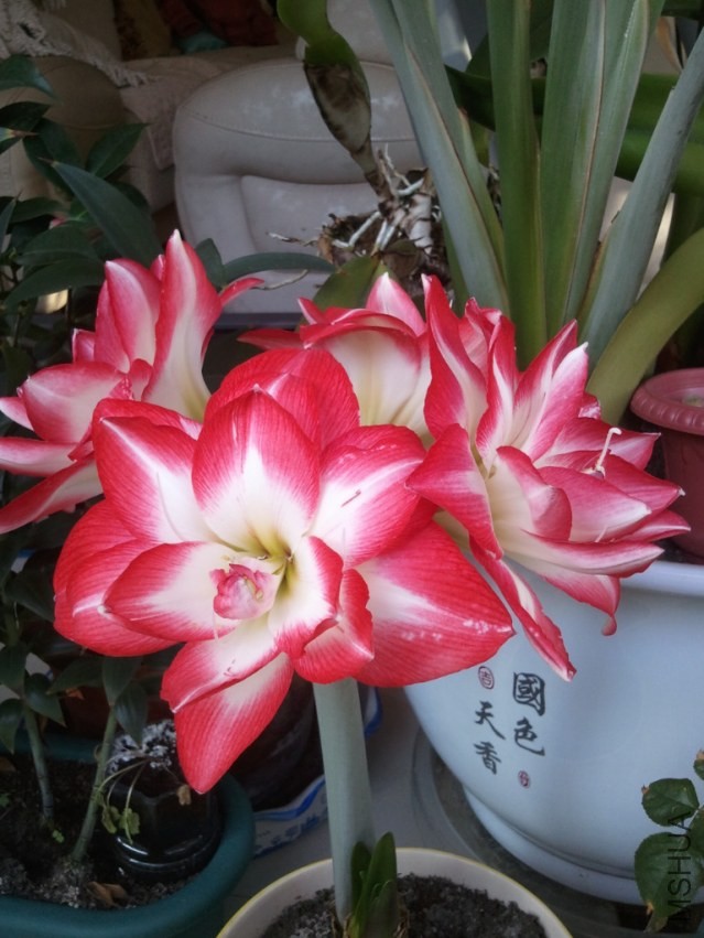 2014-02-09 15.15.48.jpg