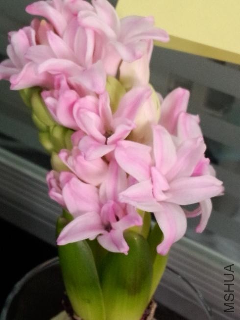 ���������� (1).jpg