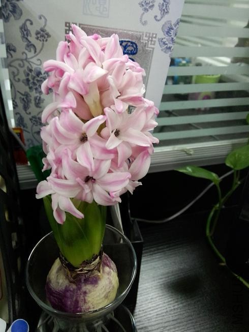 ���������� (2).jpg