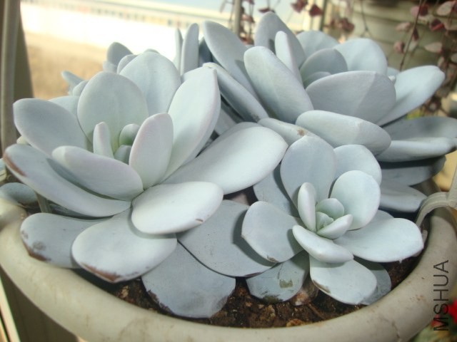 DSC03169.JPG