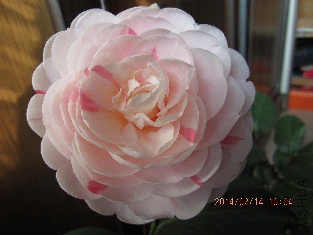 IMG_1585.JPG
