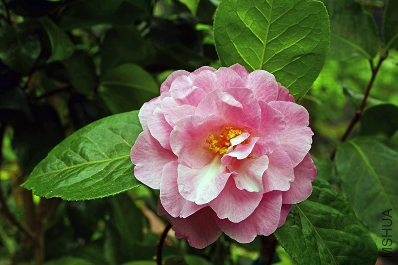 _DSC8568_edited-1.jpg