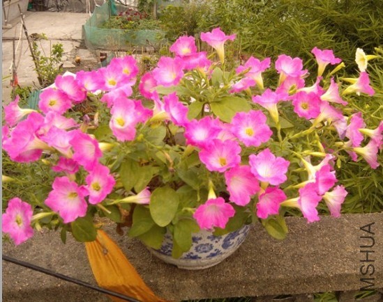 QQ��ͼ20140215092307.jpg